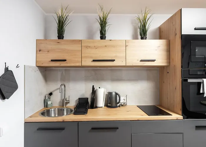 Newly Refurbished Lukiskiu Square By Reside Baltic Apartmán